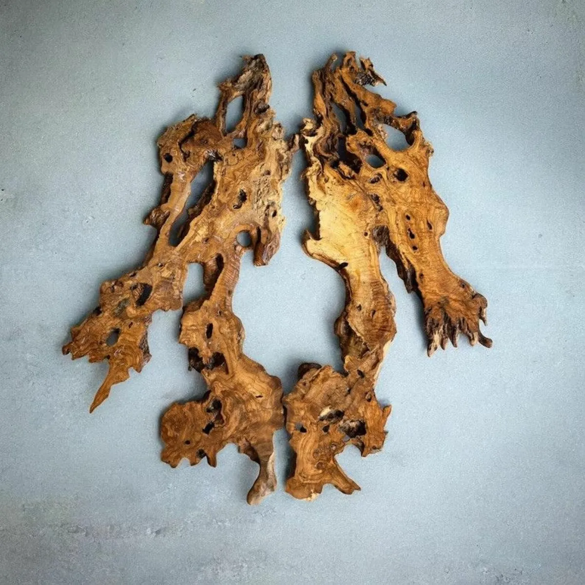 Century Old Turkish Olive Wood & Black Walnut slab - Image 1