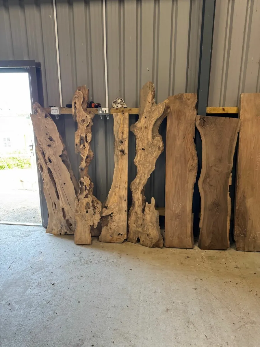 Century Old Turkish Olive Wood & Black Walnut slab - Image 3