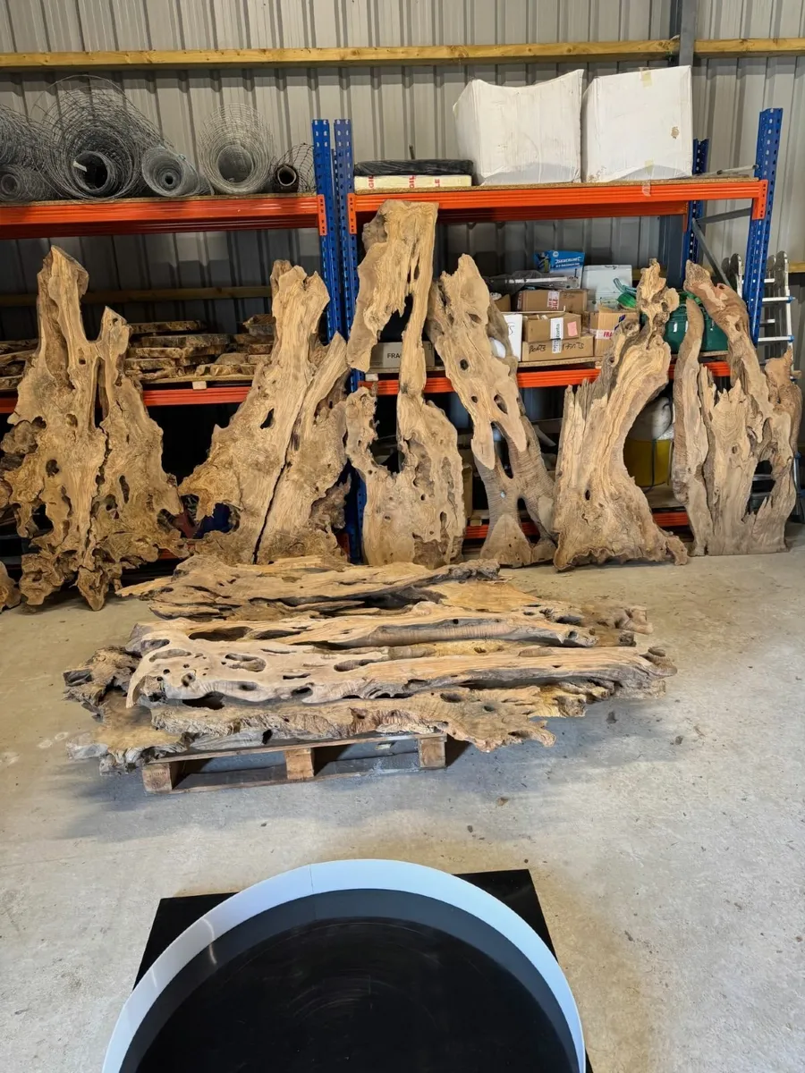 Century Old Turkish Olive Wood & Black Walnut slab - Image 4