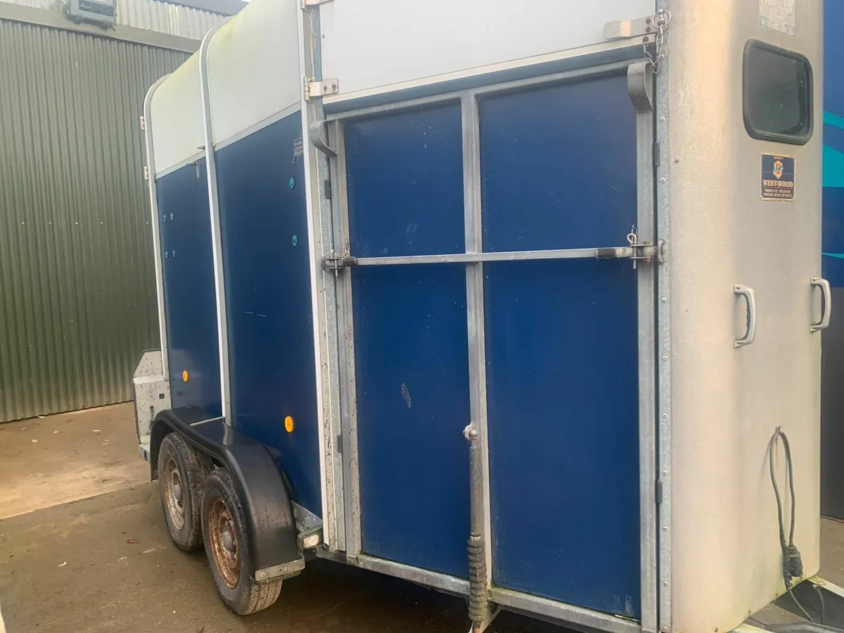 Ifor williams 505 horsebox - Image 2