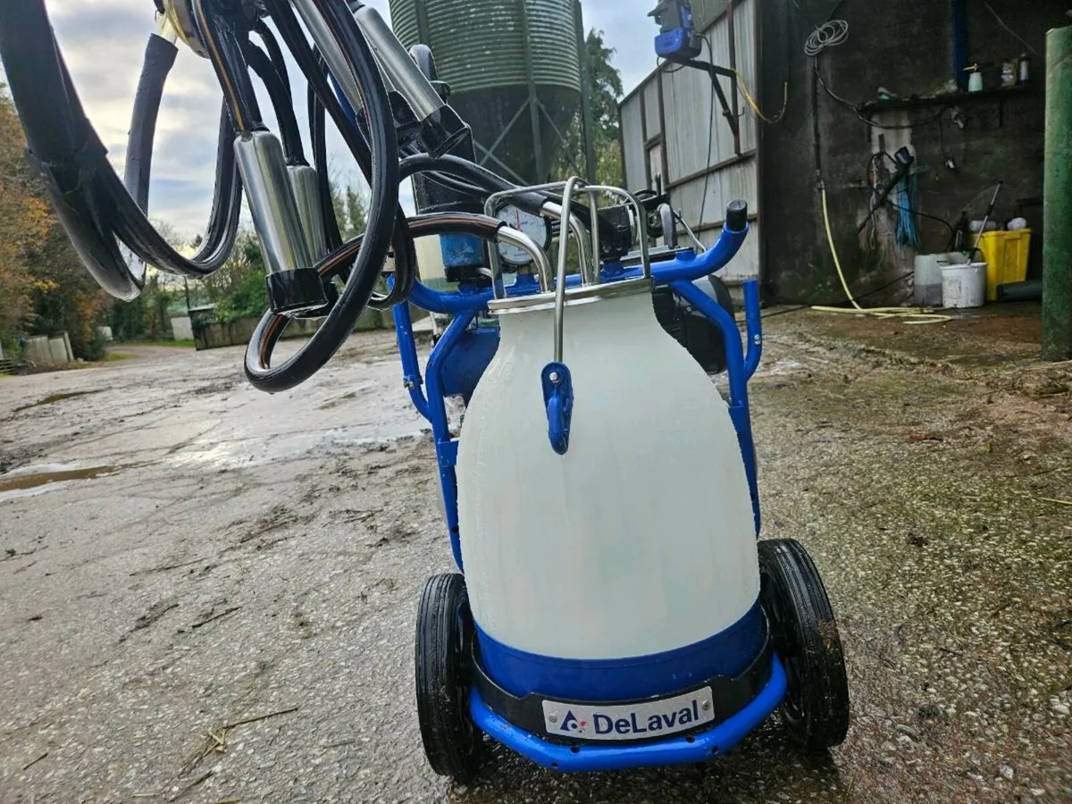 Single milking machine. 10 unit delaval parlor - Image 2