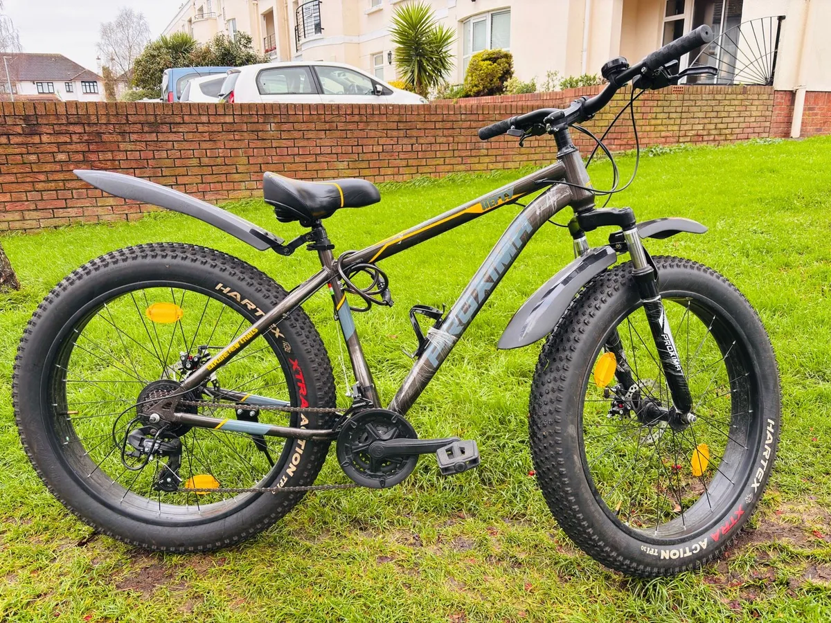 Mountain Bike - Image 2