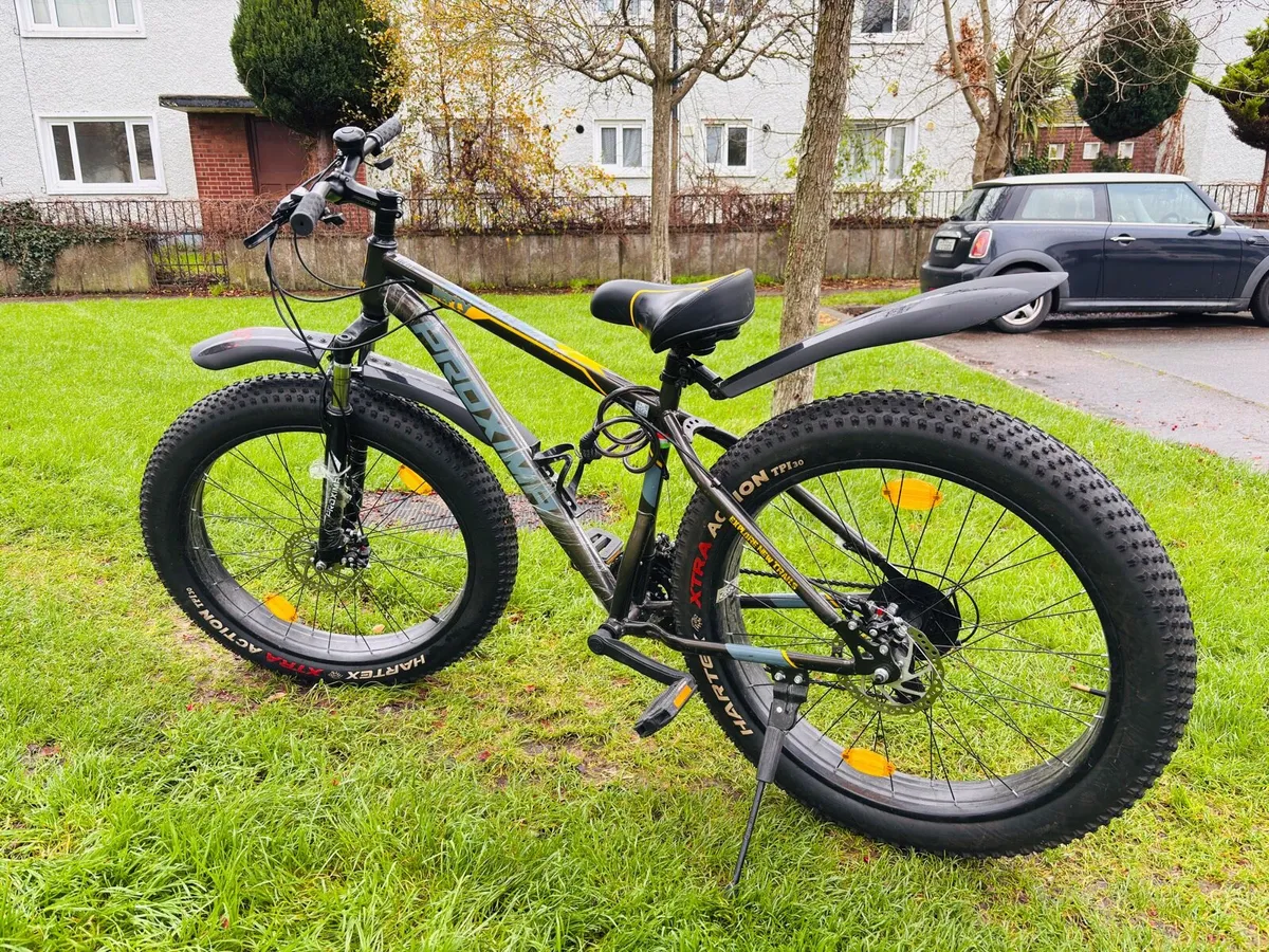 Mountain Bike - Image 1