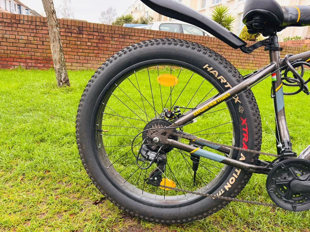 Mountain Bike - Image 4