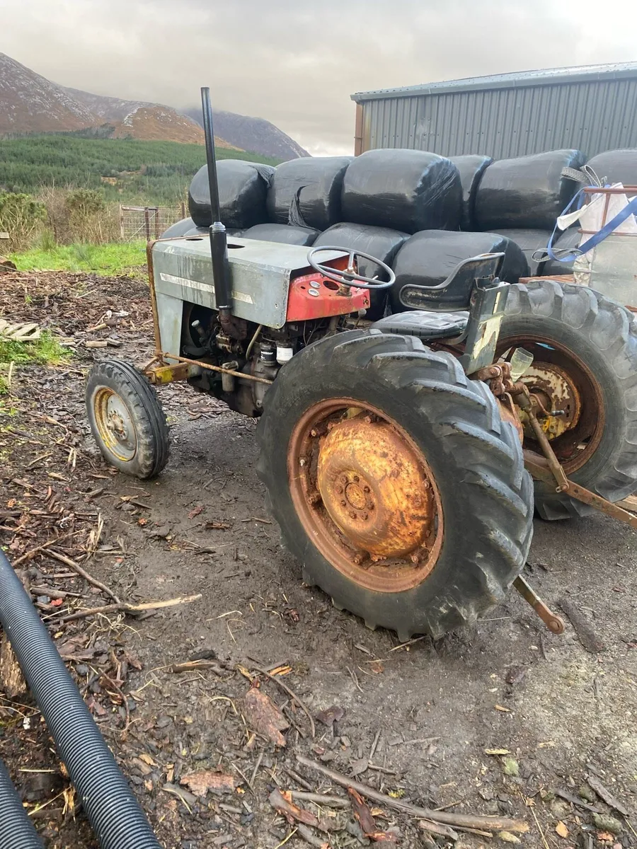 Massey Ferguson 135 - Image 2