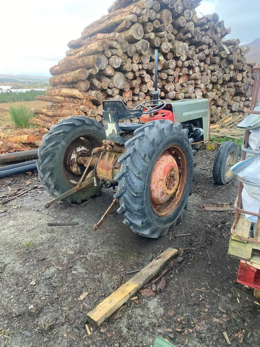 Massey Ferguson 135 - Image 3