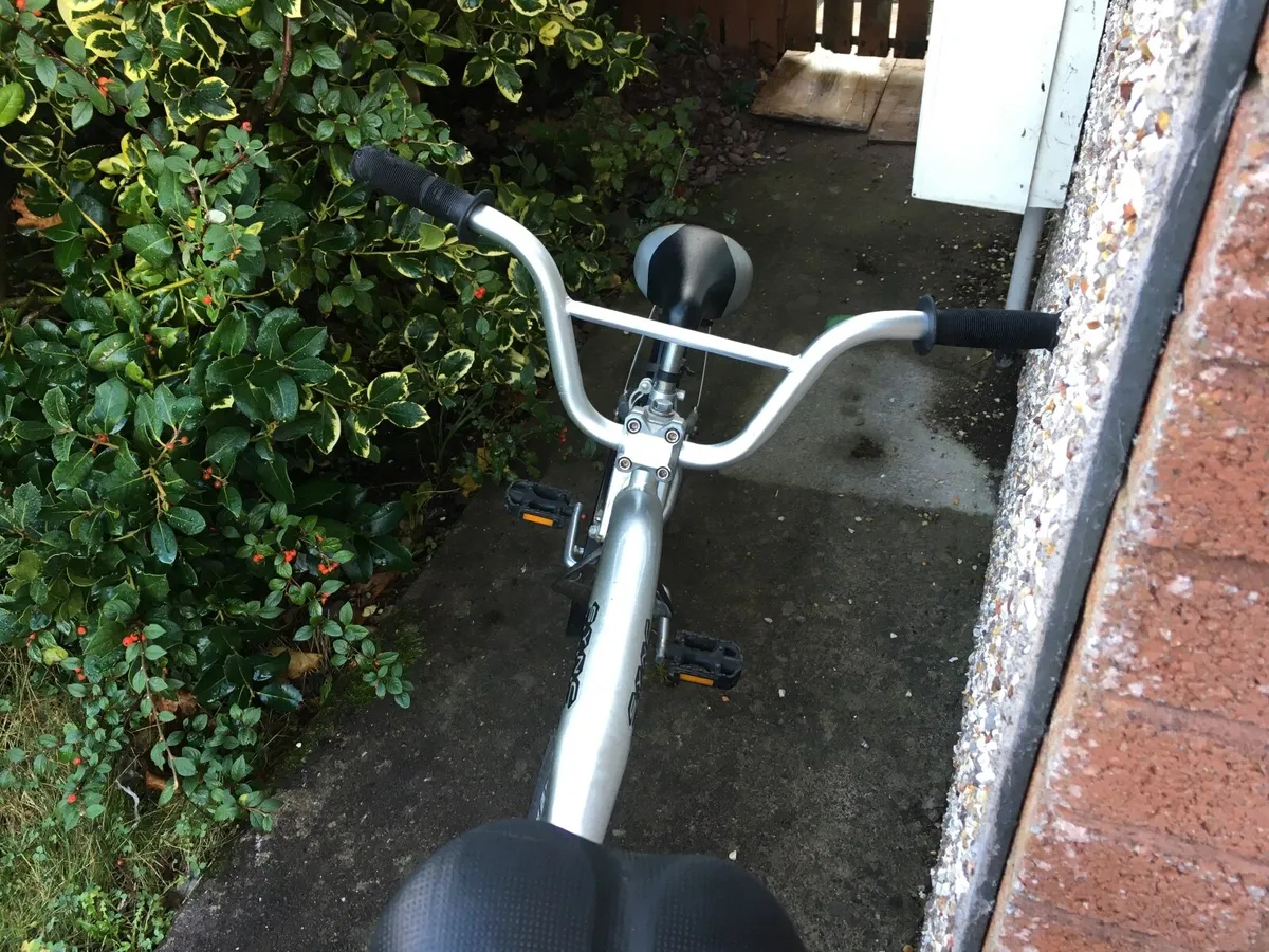 Tagalong Weeride Copilot child bike - Image 4