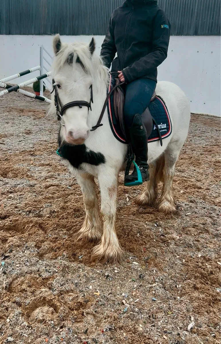 Dream beginners pony - Image 1