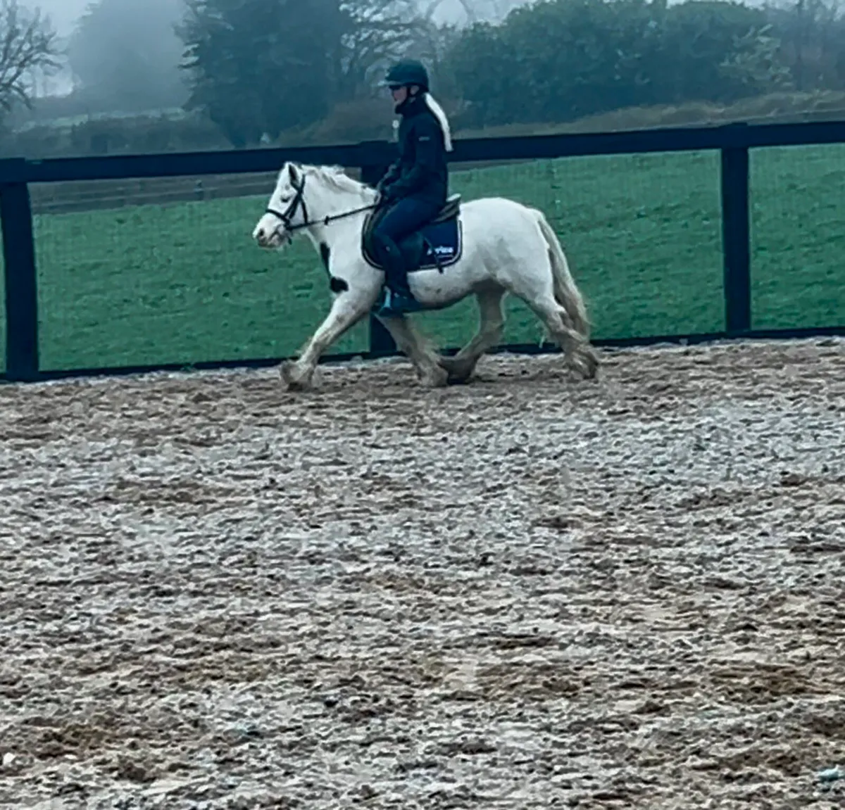 Dream beginners pony - Image 2