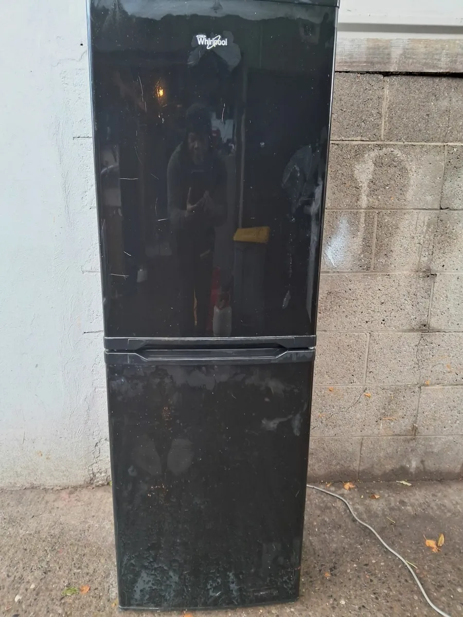 FRIDGE AND FREEZER - Image 1