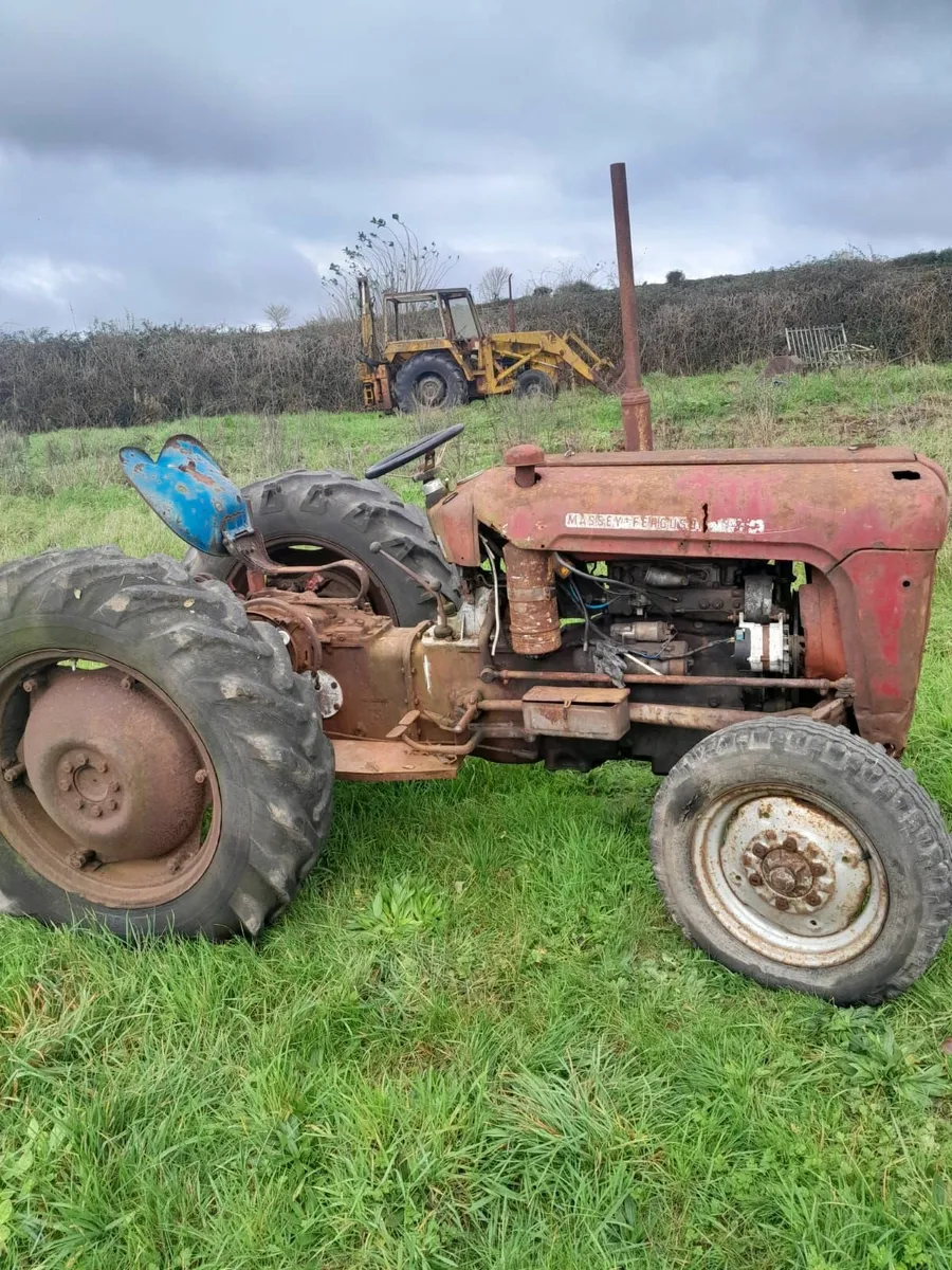 Ferguson 35 & Massey Ferguson Grabber - Image 2