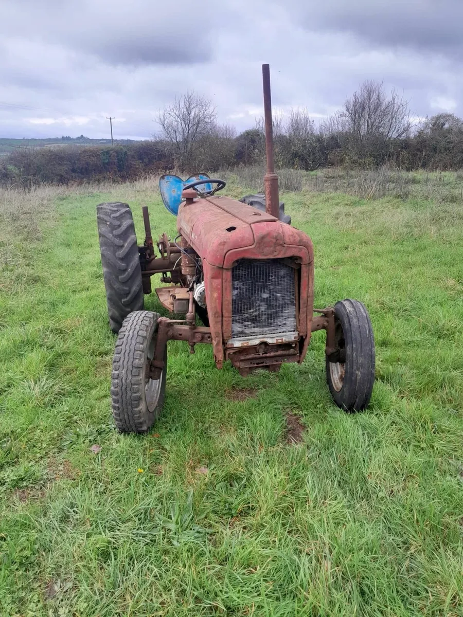 Ferguson 35 & Massey Ferguson Grabber - Image 3