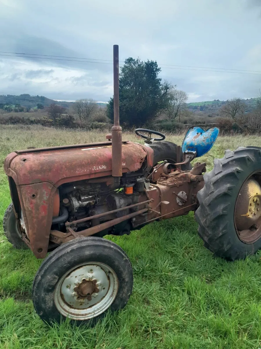 Ferguson 35 & Massey Ferguson Grabber - Image 1