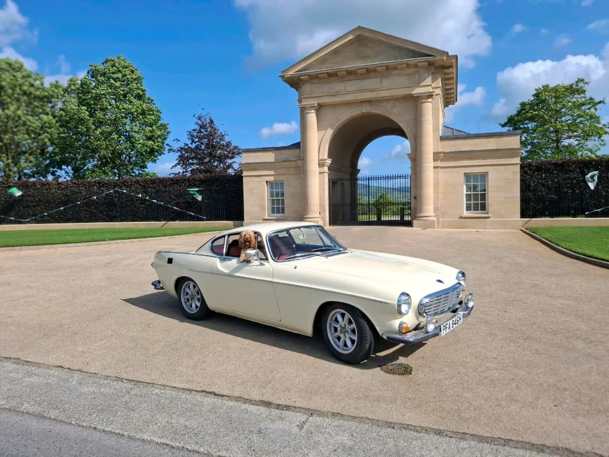 P1800 Volvo - Image 1