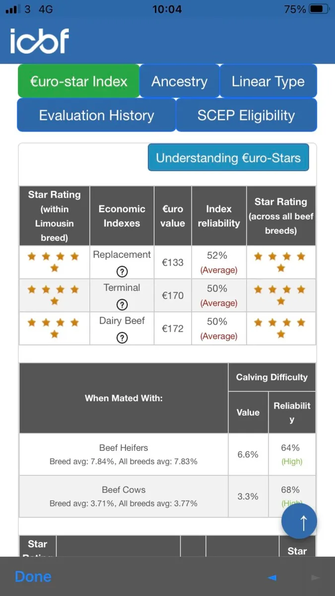 Limousine Bull - Image 4