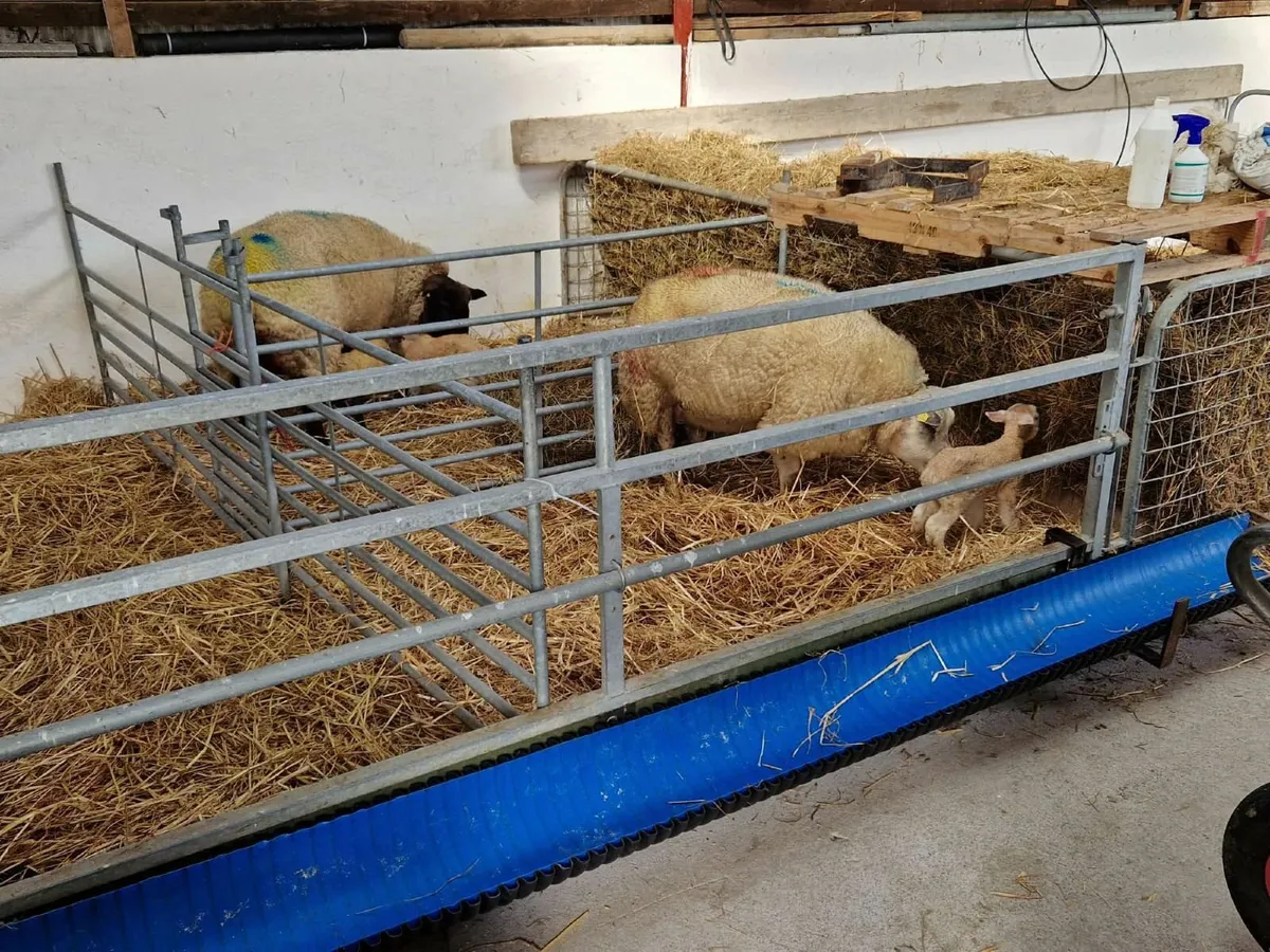 sheep shed fittings, galvan steel frame, equipment - Image 1