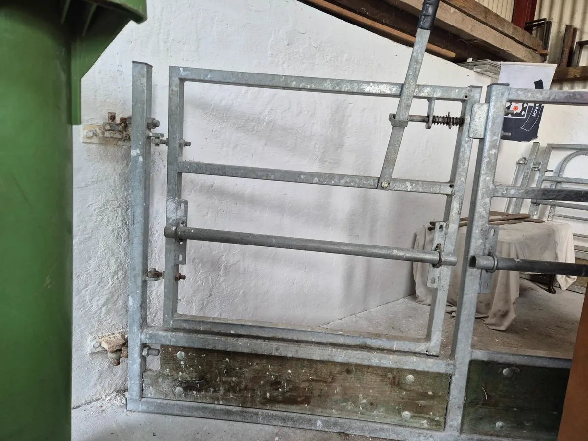 sheep shed fittings, galvan steel frame, equipment - Image 2