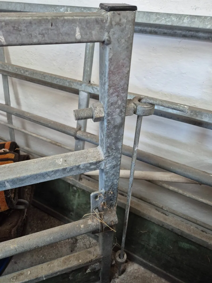sheep shed fittings, galvan steel frame, equipment - Image 3