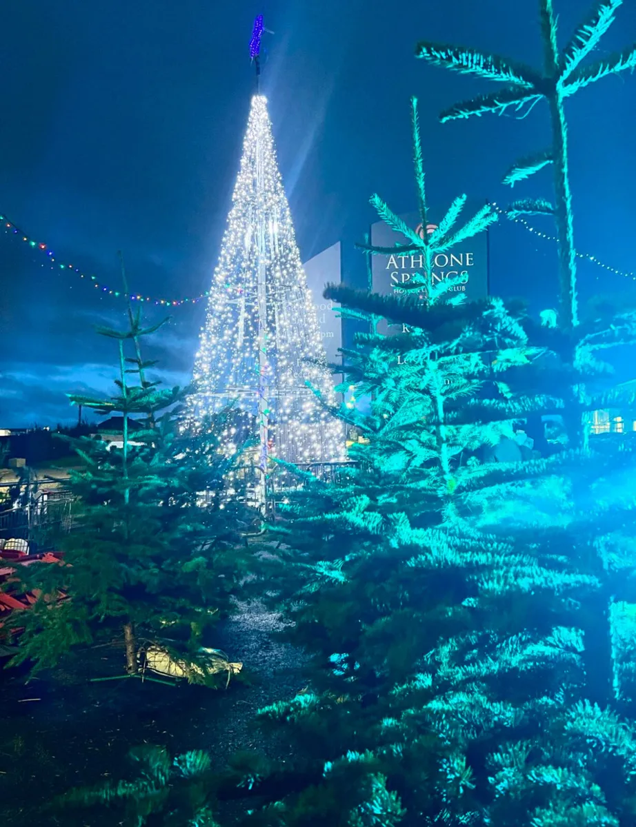 Christmas Trees - Image 2