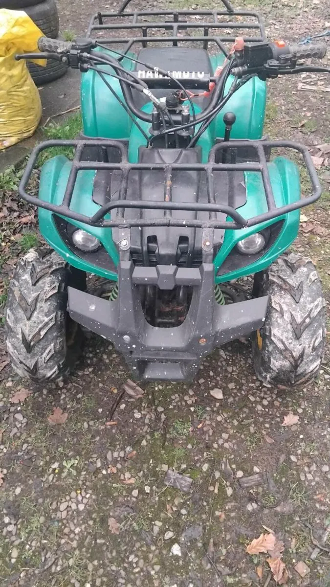 Quad 125 forward and reverse quad - Image 1