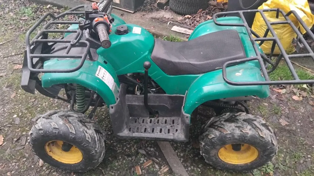 Quad 125 forward and reverse quad - Image 3