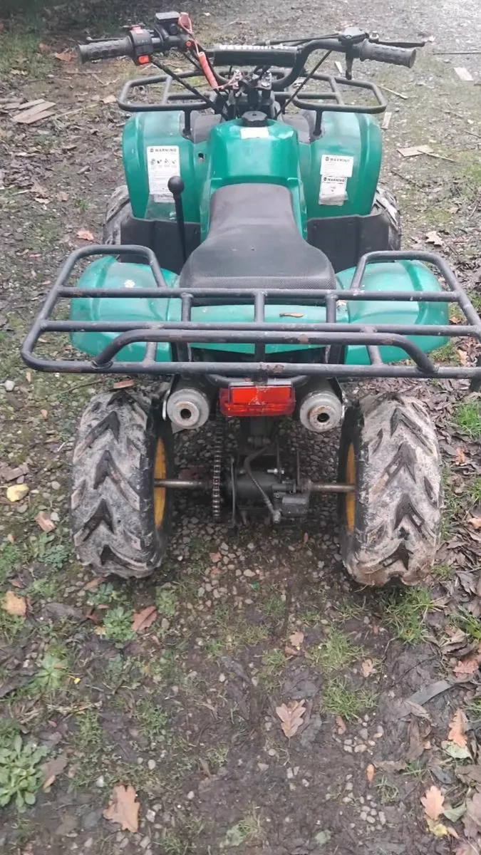 Quad 125 forward and reverse quad - Image 4