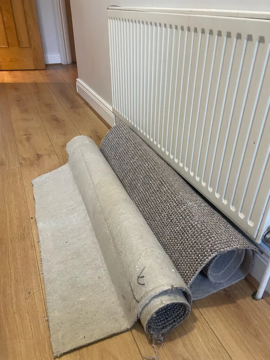 Stairs Carpet Free - Image 3