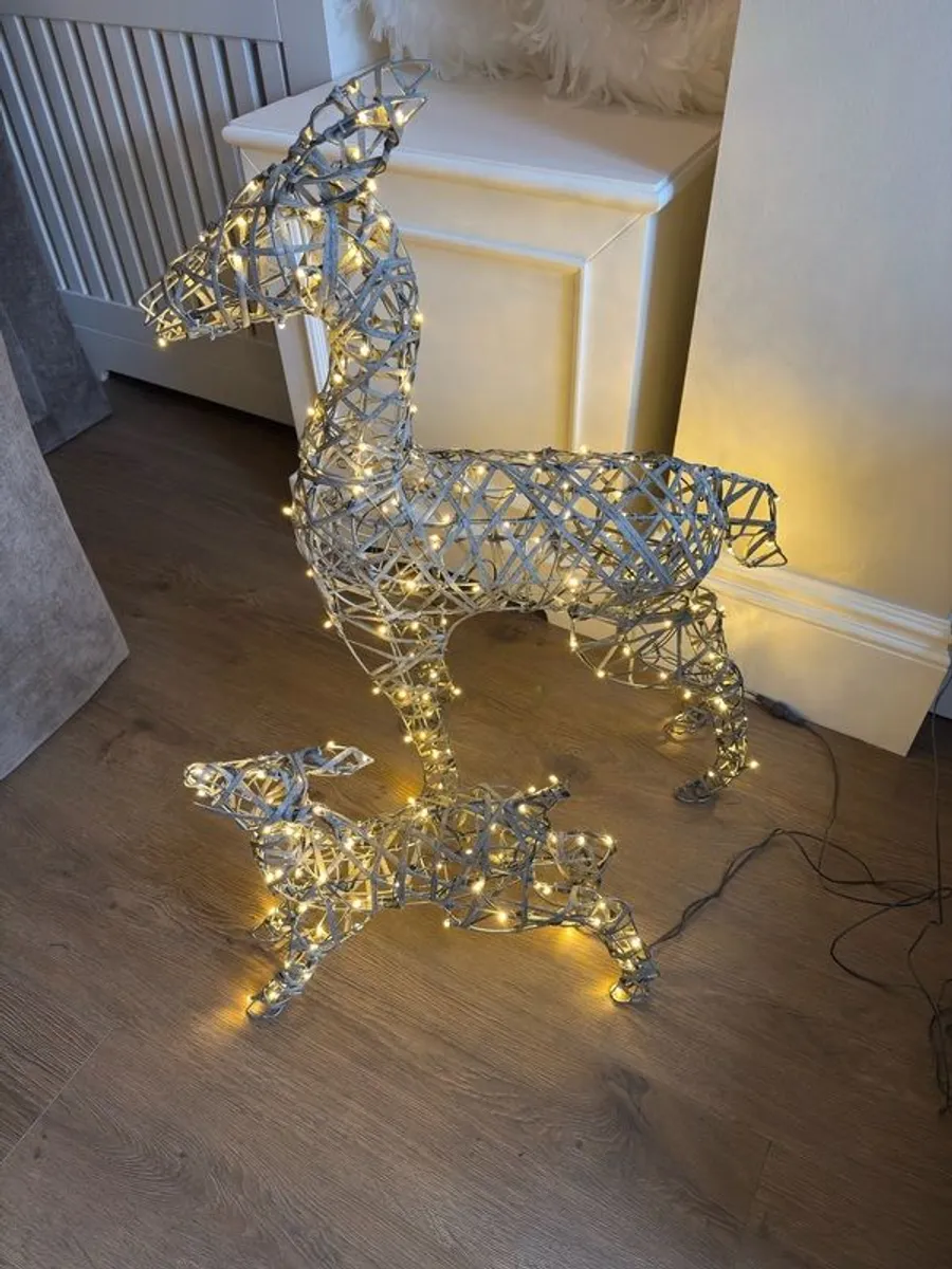 Indoor or outdoor christmas lights Dear - Image 1