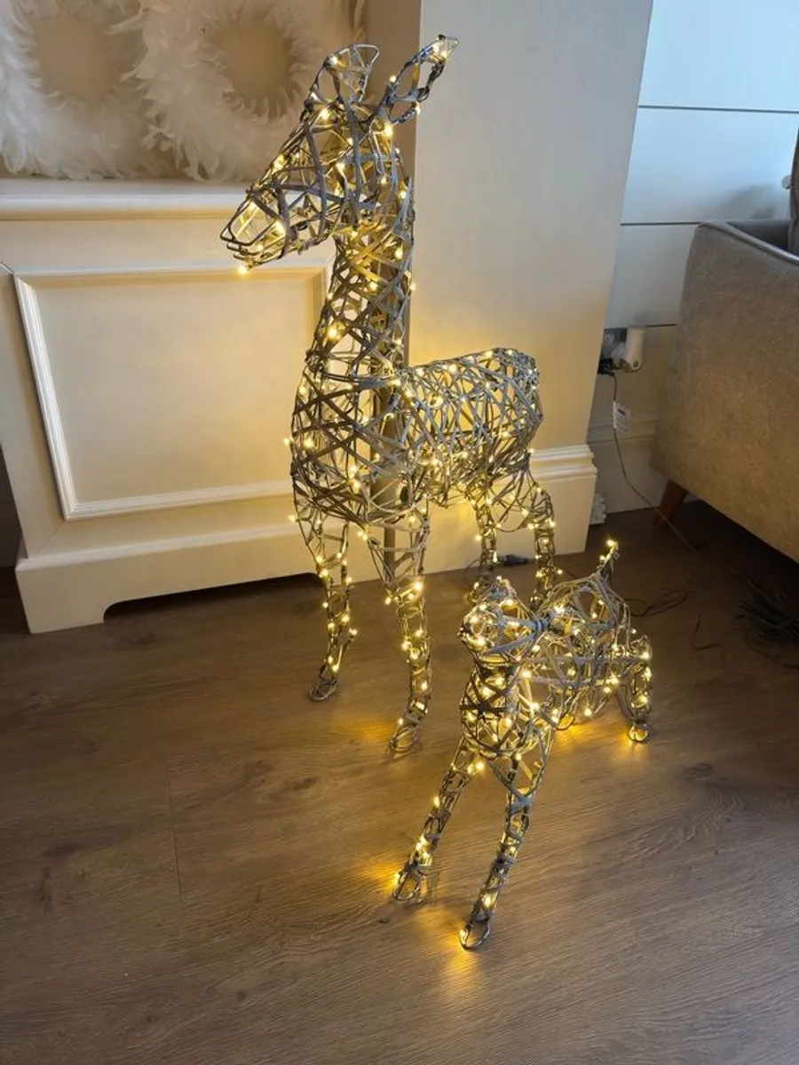 Indoor or outdoor christmas lights Dear - Image 2