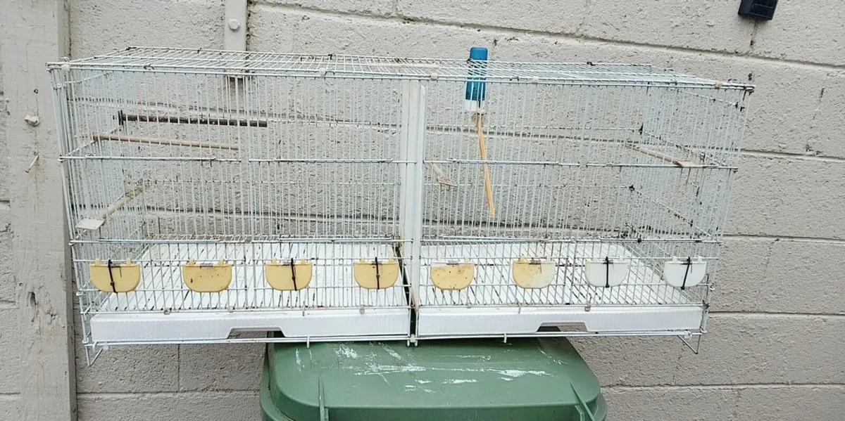 Bird cages - Image 2