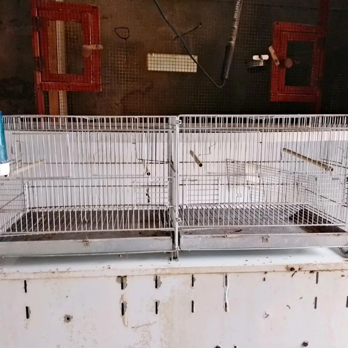 Bird cages - Image 4