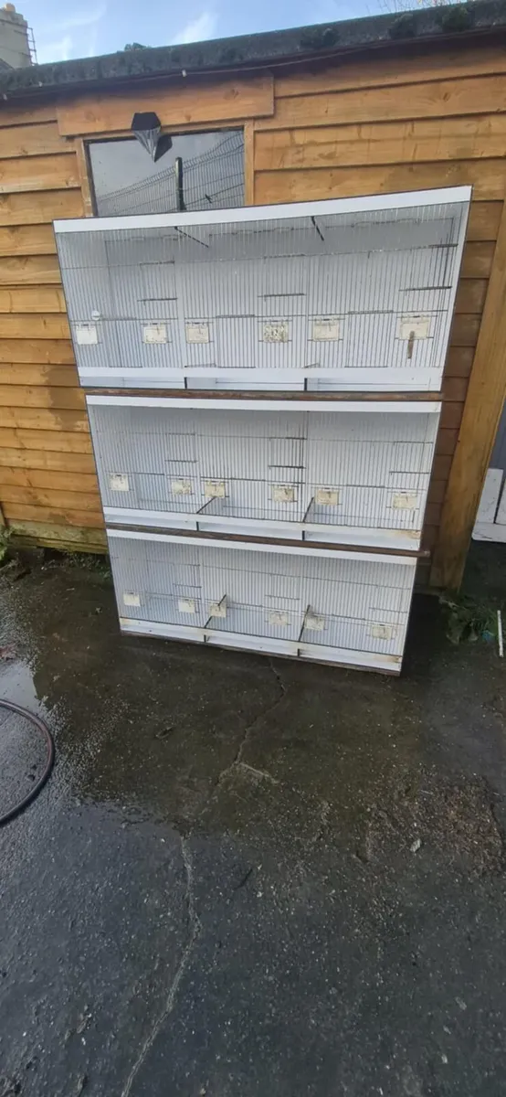 Bird cages - Image 1