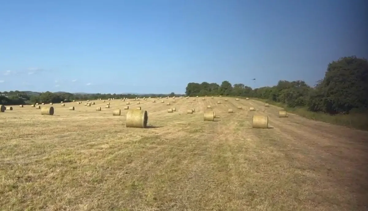 Round bales of Hay - Image 1