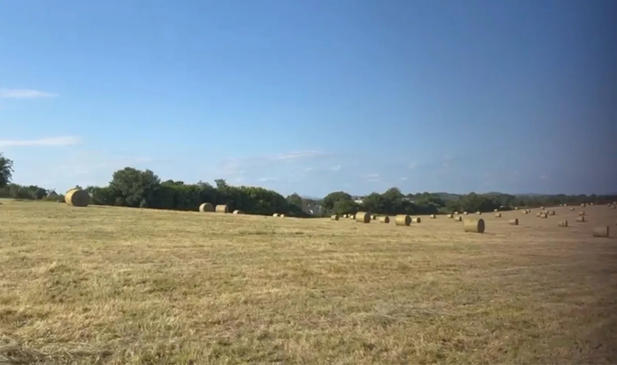 Round bales of Hay - Image 2