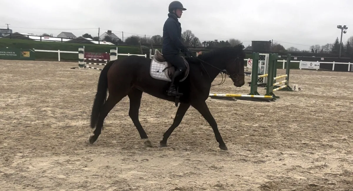 CAVAN SALES LOT: 61 BTY PORSH Q - Image 1