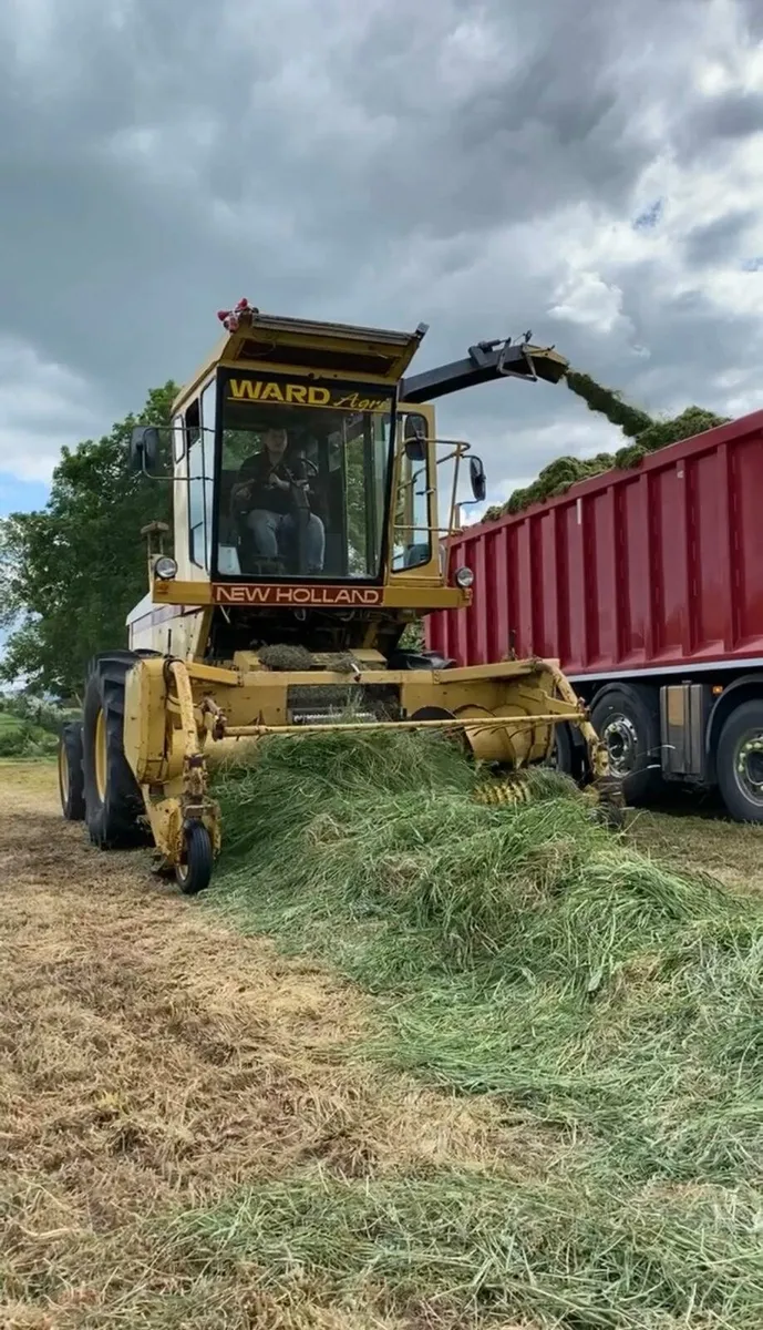 New holland - Image 1