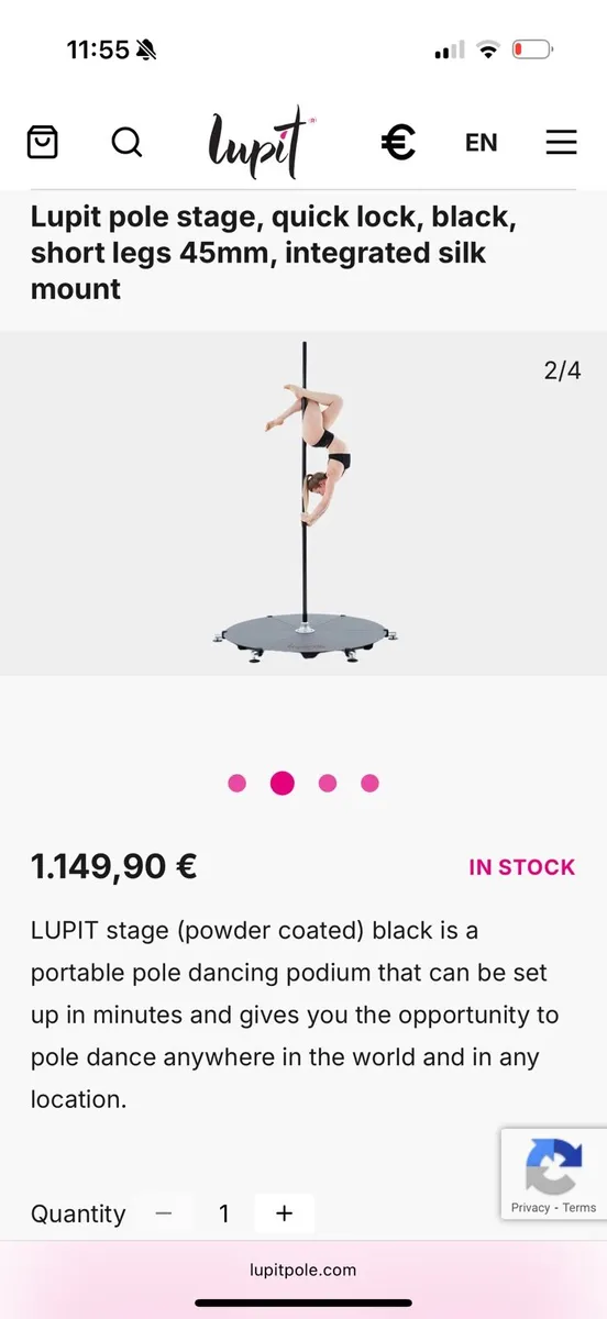 Pole Fitness Stage Pole : Lupit Stage Pole - Image 1