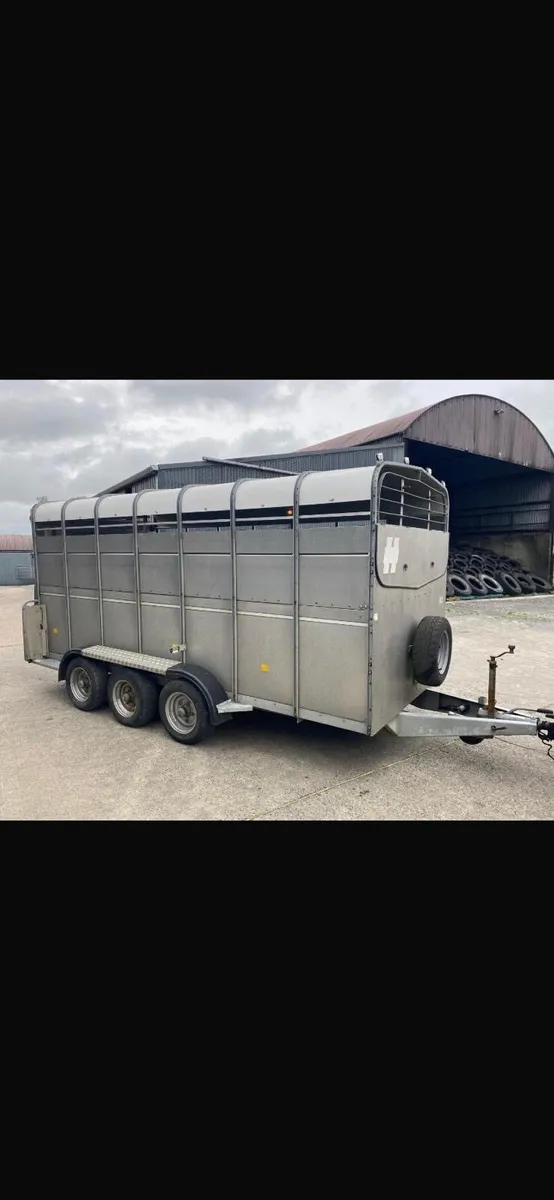 14ft Tri-Axle Cattle Trailer - Image 1