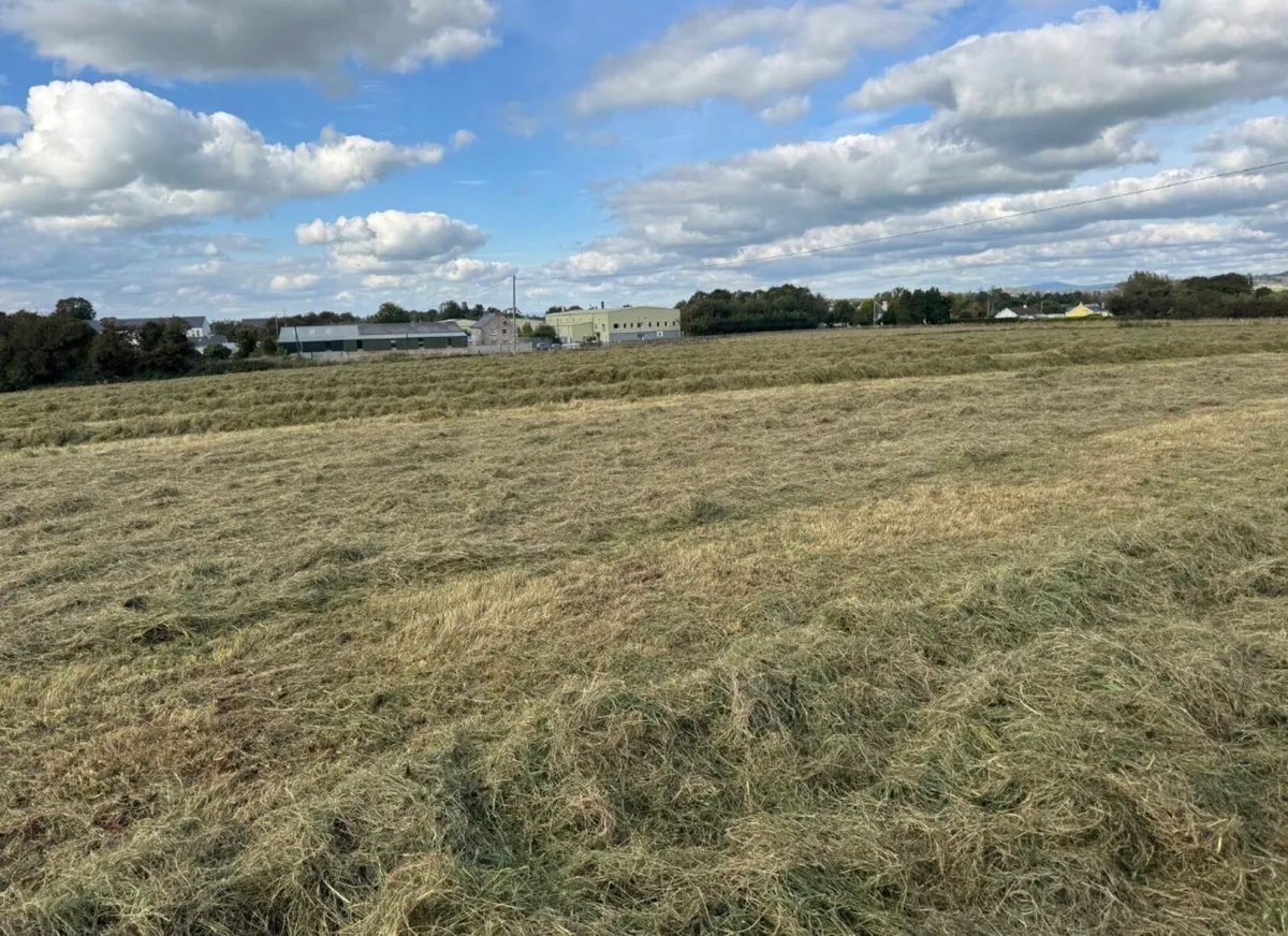 Round bales of silage - Image 4