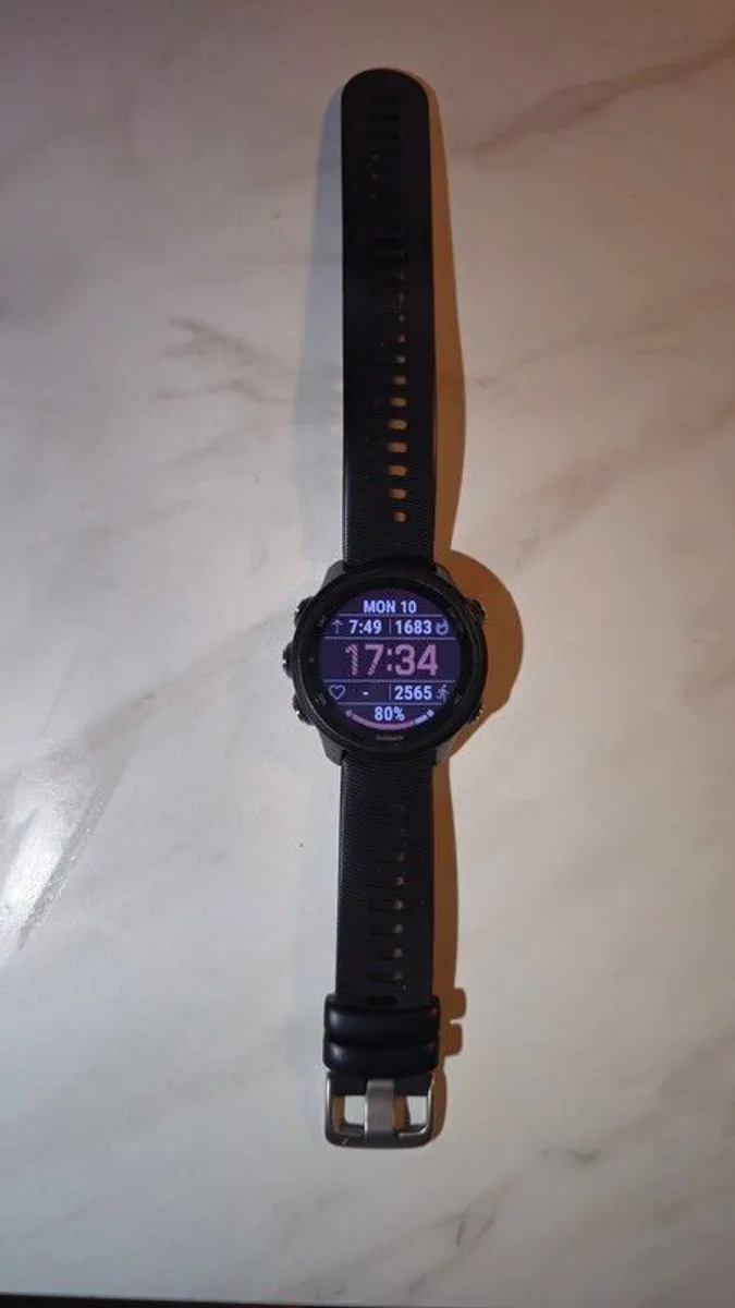 garmin forerunner 245 - Image 2