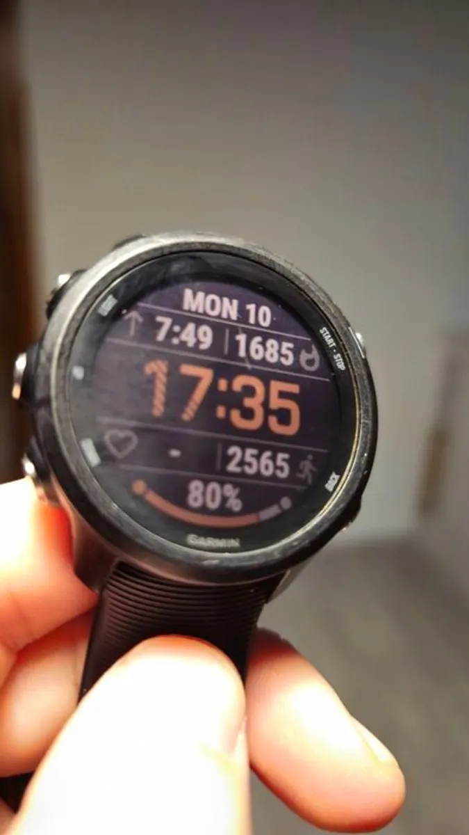 garmin forerunner 245 - Image 3
