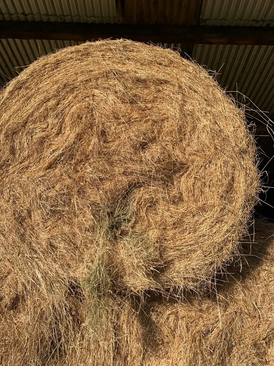 Hay and Haylage - Image 1