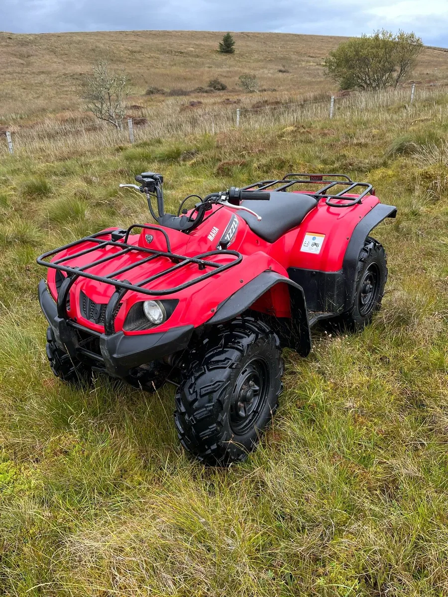Yamaha grizzly 350 - Image 1