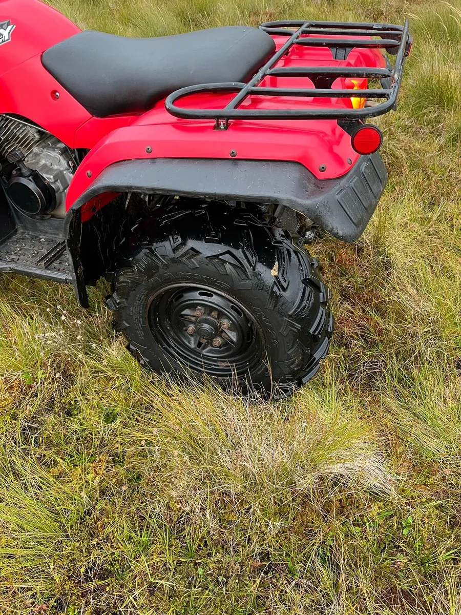 Yamaha grizzly 350 - Image 2