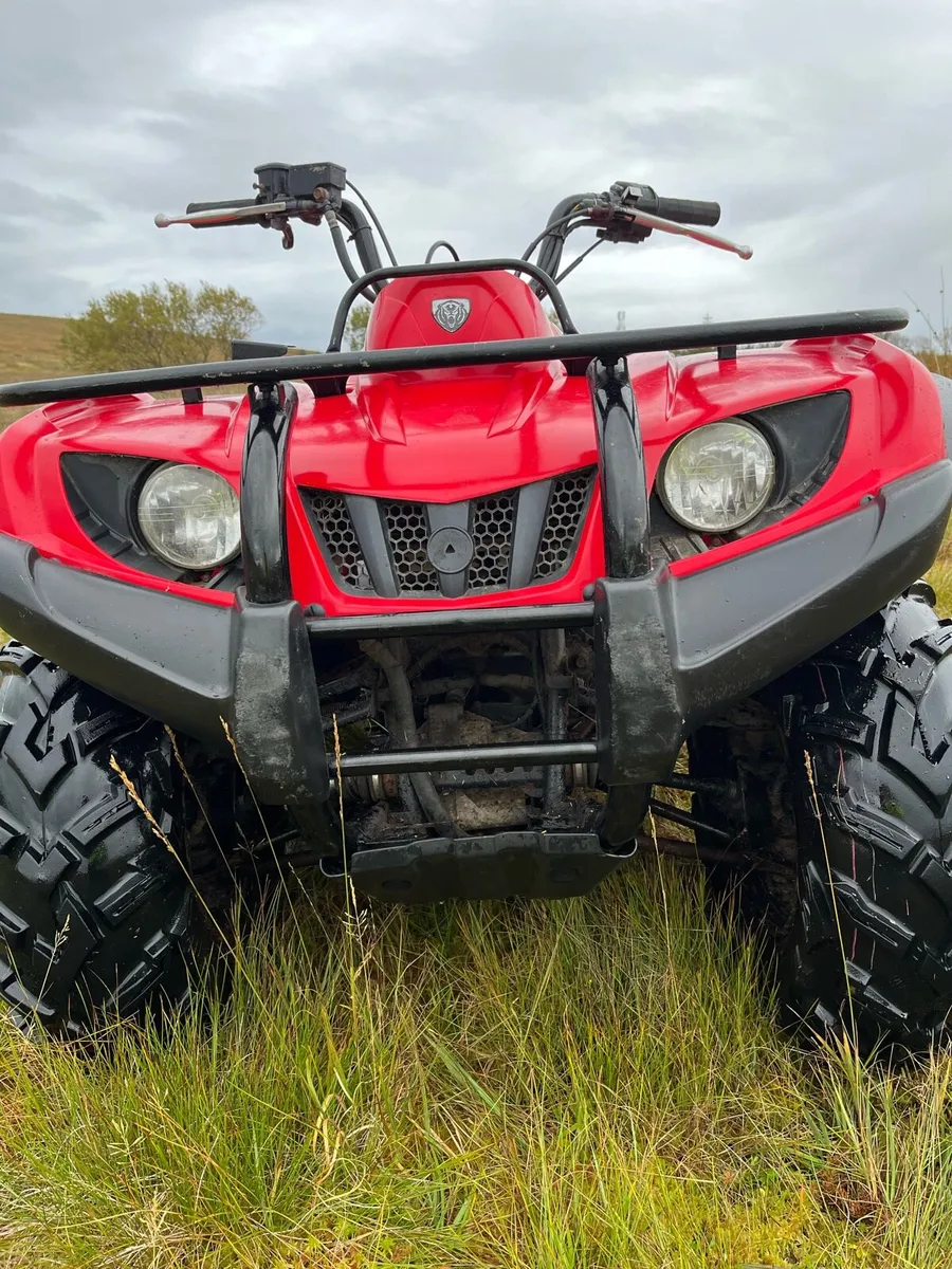 Yamaha grizzly 350 - Image 3