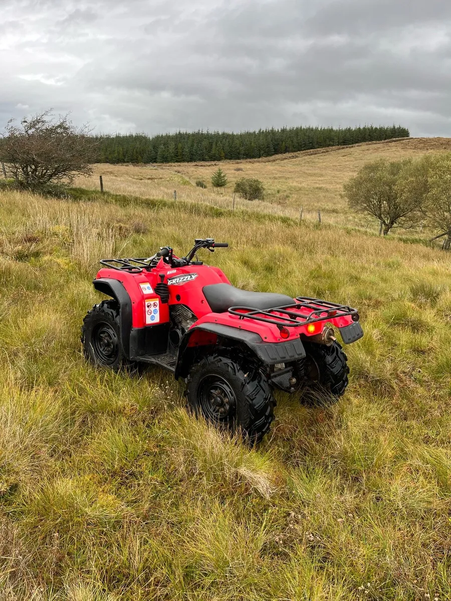 Yamaha grizzly 350 - Image 4