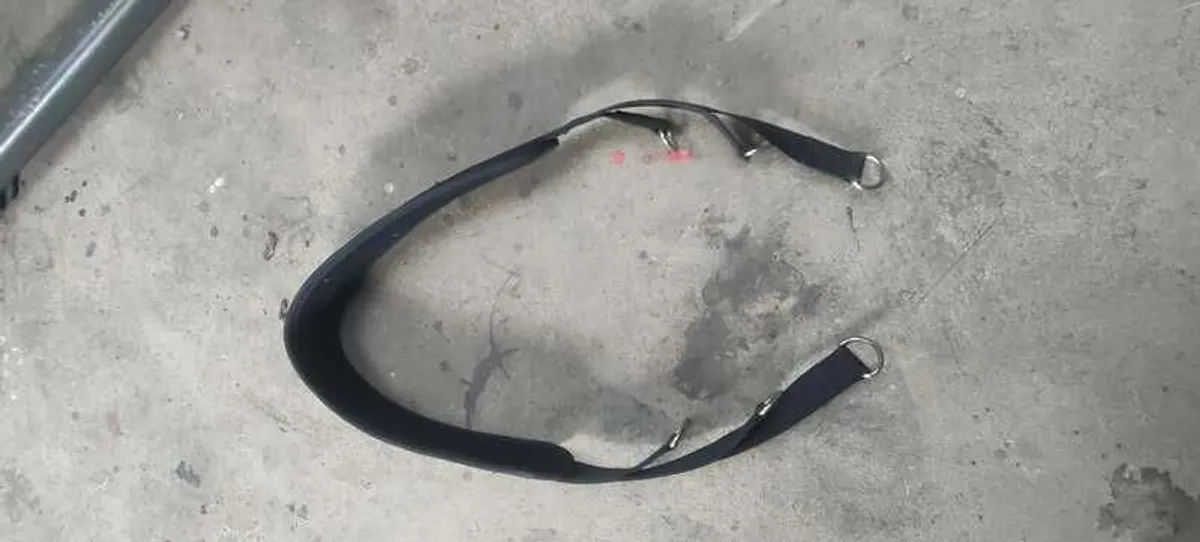 Bowflex Blaze Multigym - Image 4