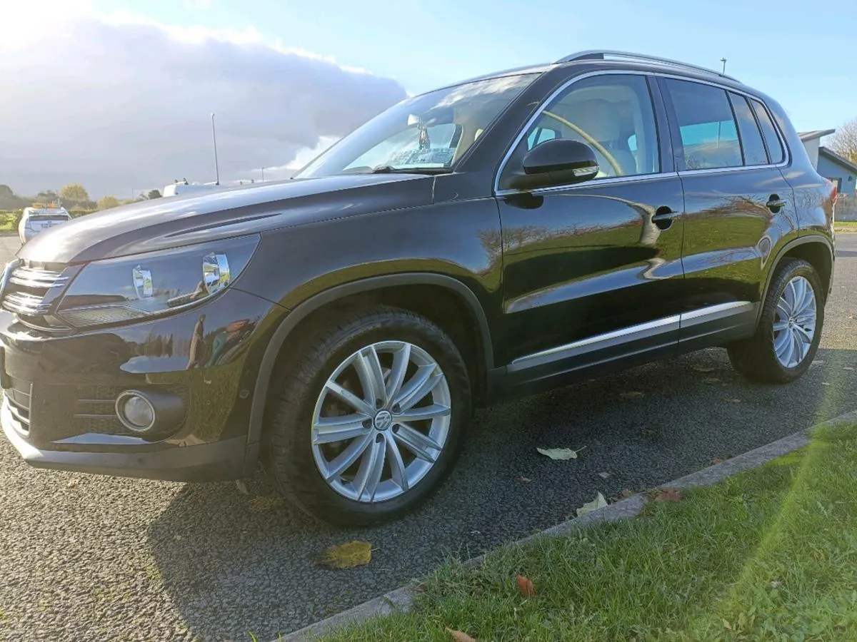 2015 Volkswagen Tiguan - Image 2