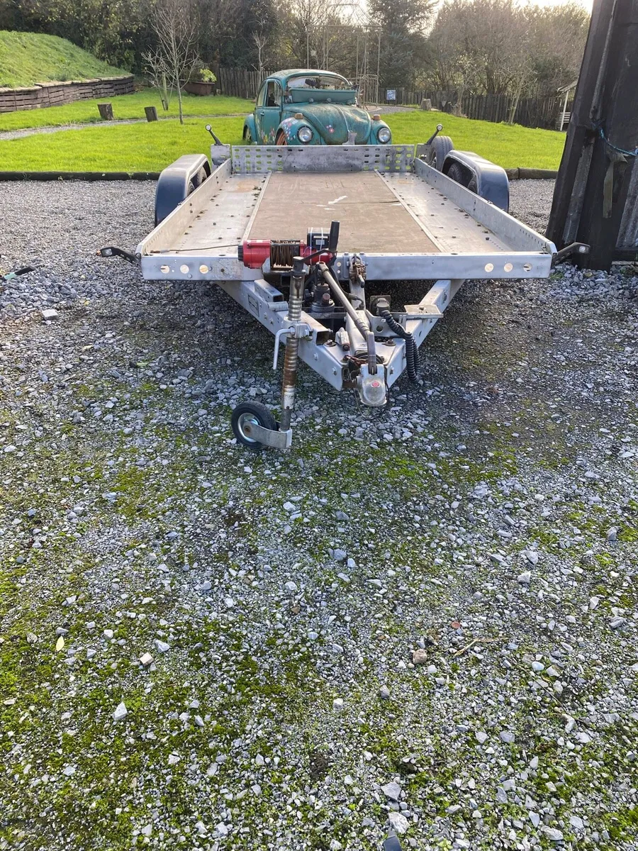 Cat transporter - Image 1