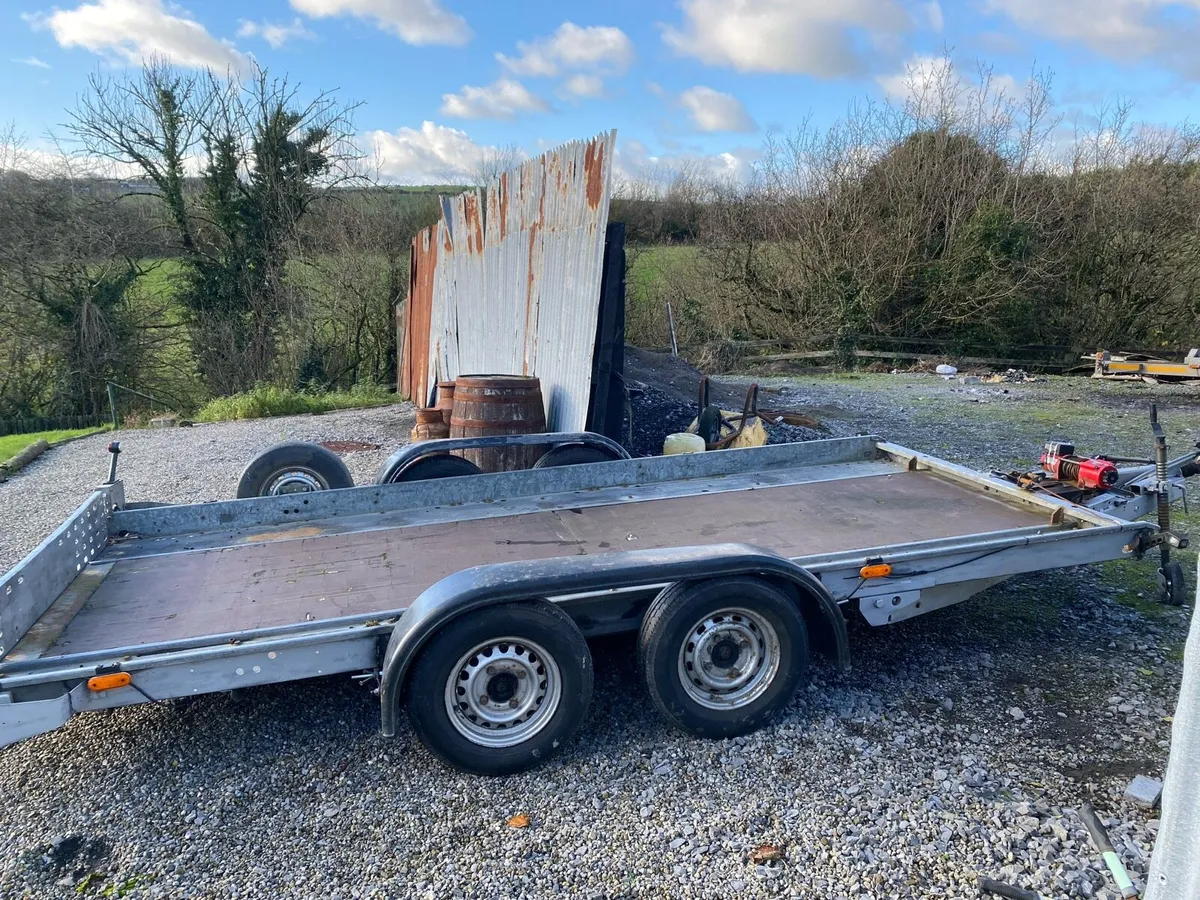 Cat transporter - Image 2